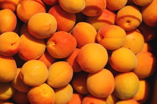 A vibrant close-up image of fresh, ripe apricots showcasing their rich orange hues.